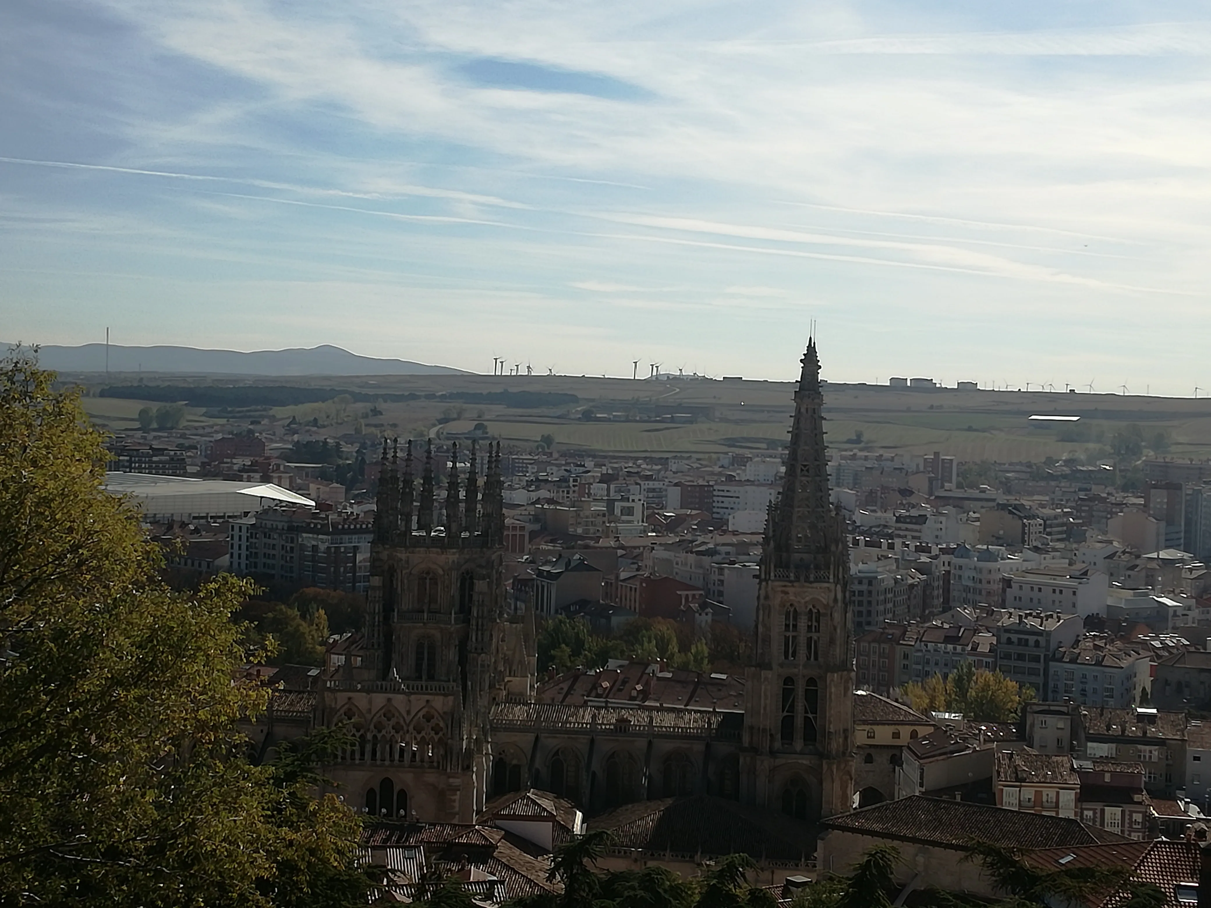 COVID-19 Burgos: Burgos realizará test masivos en las zonas con más incidencia, aunque por el momento no se sabe cuándo, dónde o a quién