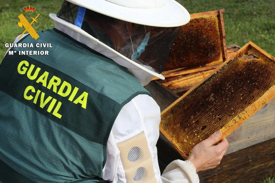 La Guardia Civil investiga a una persona por el robo con fuerza de una colmena