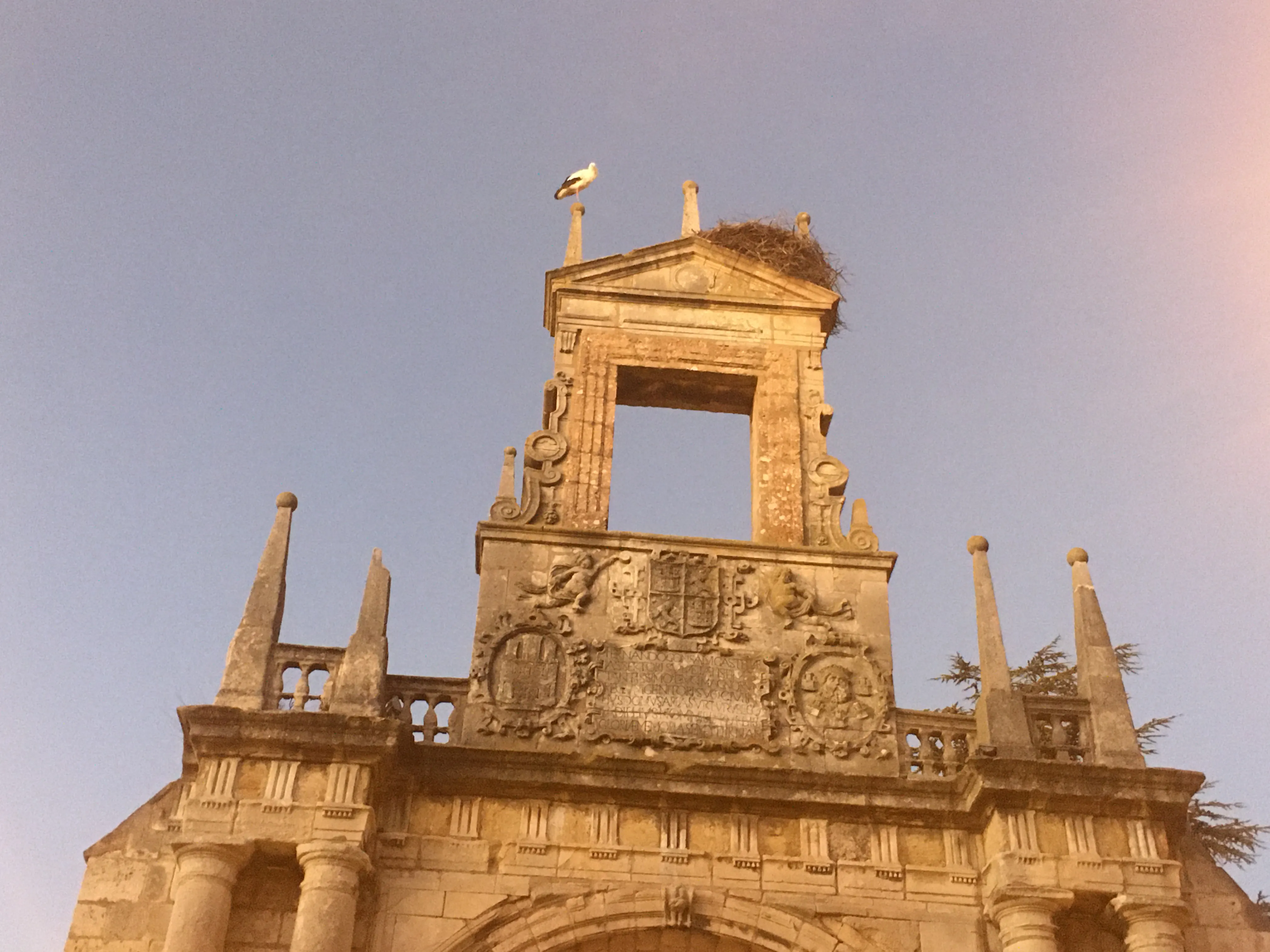 ¿Se avecina un invierno inusual en Burgos?