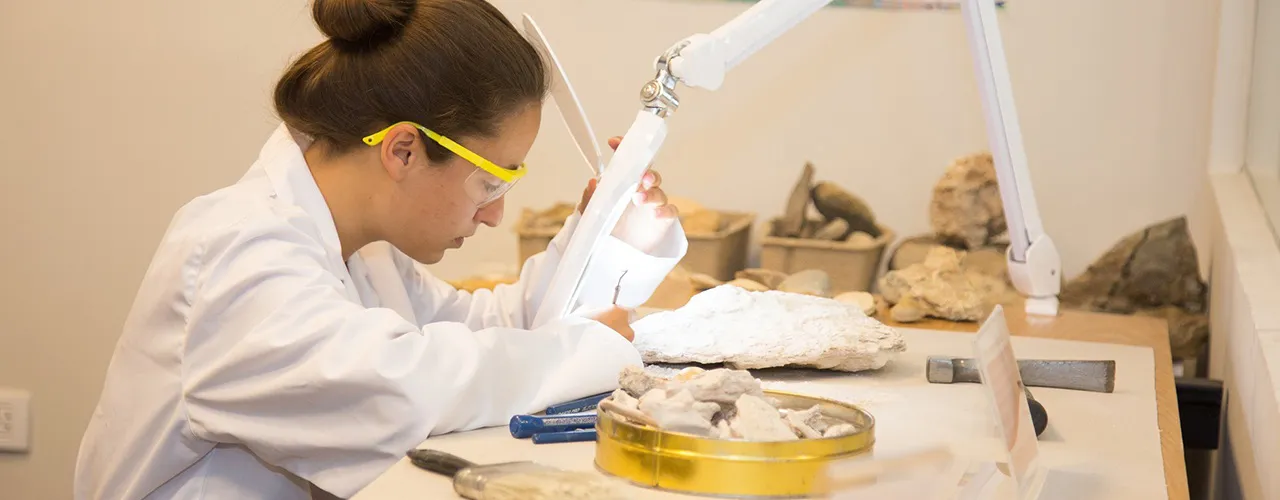 Ocho entidades de Castilla y León se unen para celebrar este viernes una gran Noche Europea de los Investigadores desde casa