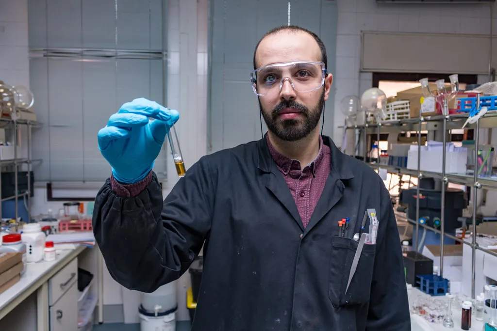 La Universidad de Burgos investiga sobre sensores poliméricos para la detección de enfermedades, nuevas baterías recargables de aplicación médica y la resistencia insulínica