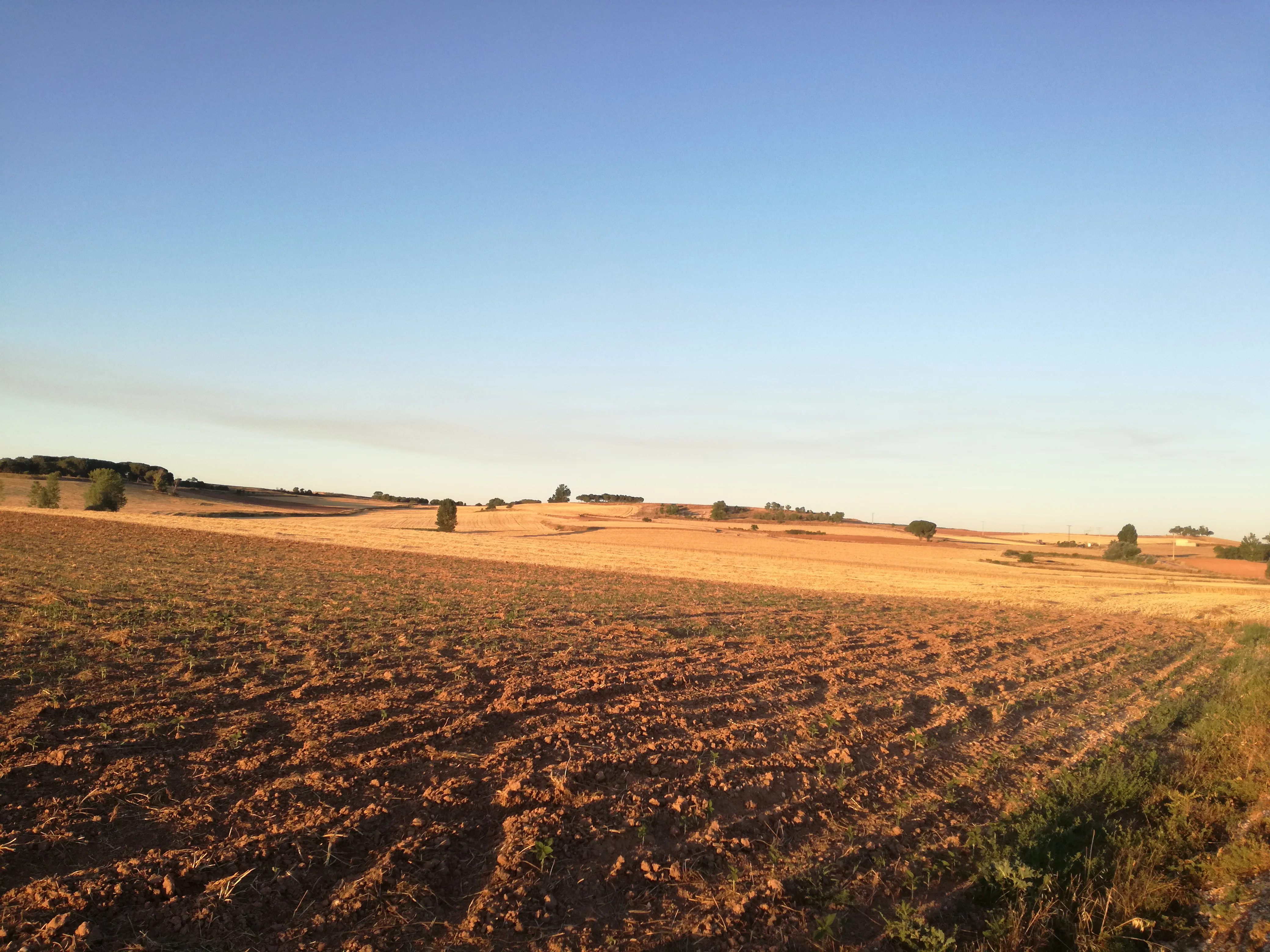 La Junta amplía hasta el 31 de diciembre de 2021 el plazo de solicitud de la línea de apoyo de hasta 200.000 euros a las explotaciones agrarias