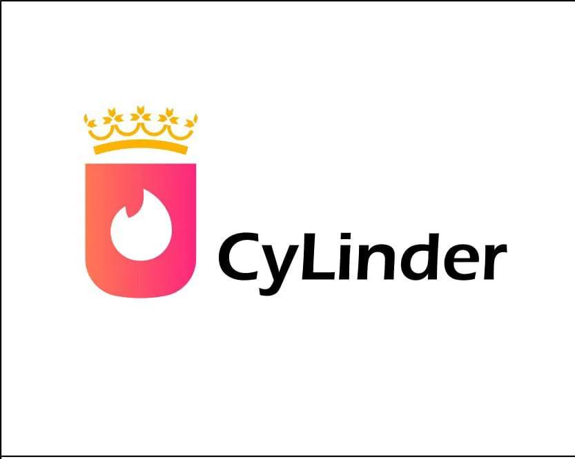@Jovenes_CyL desarrolla una app para conocer a su media espiga en la España vaciada