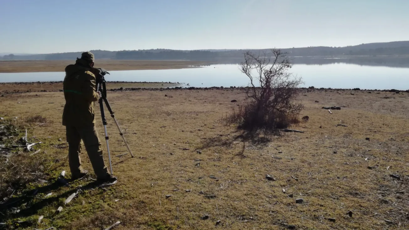 La Junta realiza un censo para estudiar las aves acuáticas invernantes en humedales de Castilla y León