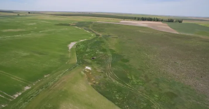 El Proyecto LIFE-Integrado apuesta por la protección y recuperación de los humedales