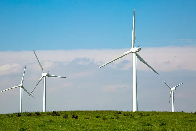 El auge descontrolado de las energías renovables amenaza la biodiversidad