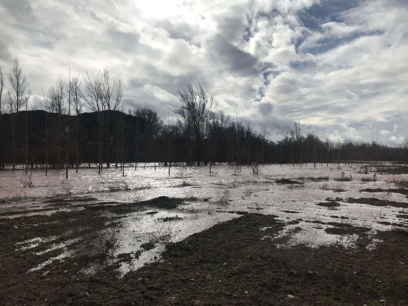 El caudal del Arlanza y del Duero, en alerta
