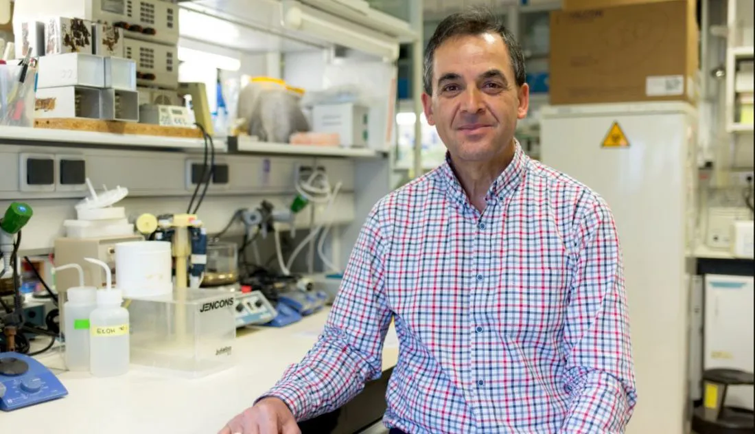 Científicos del Centro del Cáncer de la Universidad de Salamanca avanzan en la investigación de la leucemia infantil