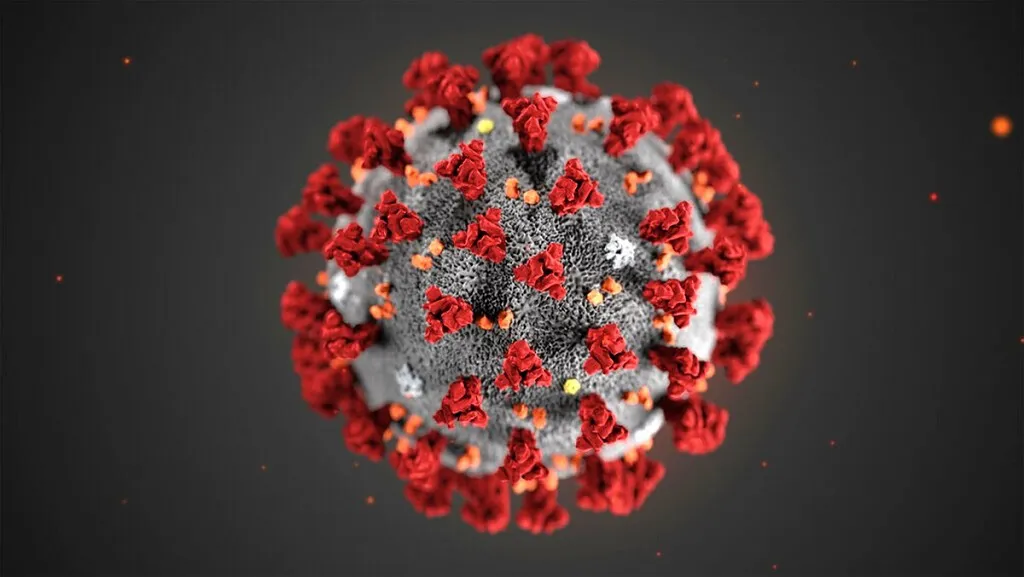 COVID-19 Burgos: Los científicos creen que la pandemia se acabará aunque el nuevo coronavirus siga existiendo