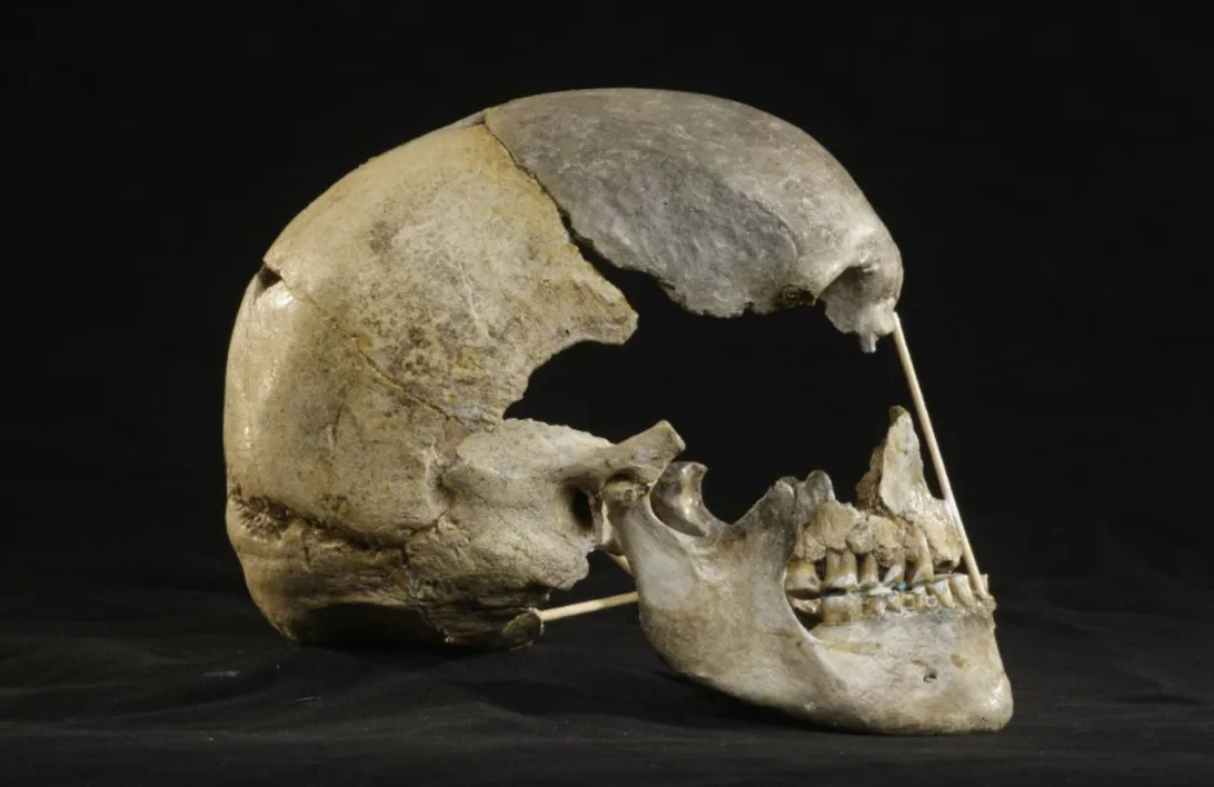 El sexo entre los primeros sapiens europeos y los neandertales fue más común de lo que se creía