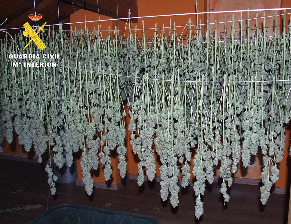 Dos detenidos por tráfico de drogas