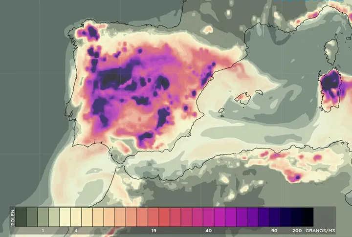 Se prevén tiempos difíciles para los alérgicos al polen