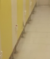 Foto 4 - Los vestuarios femeninos de las piscinas de El Plant&iacute;o necesitan "una renovaci&oacute;n" urgente