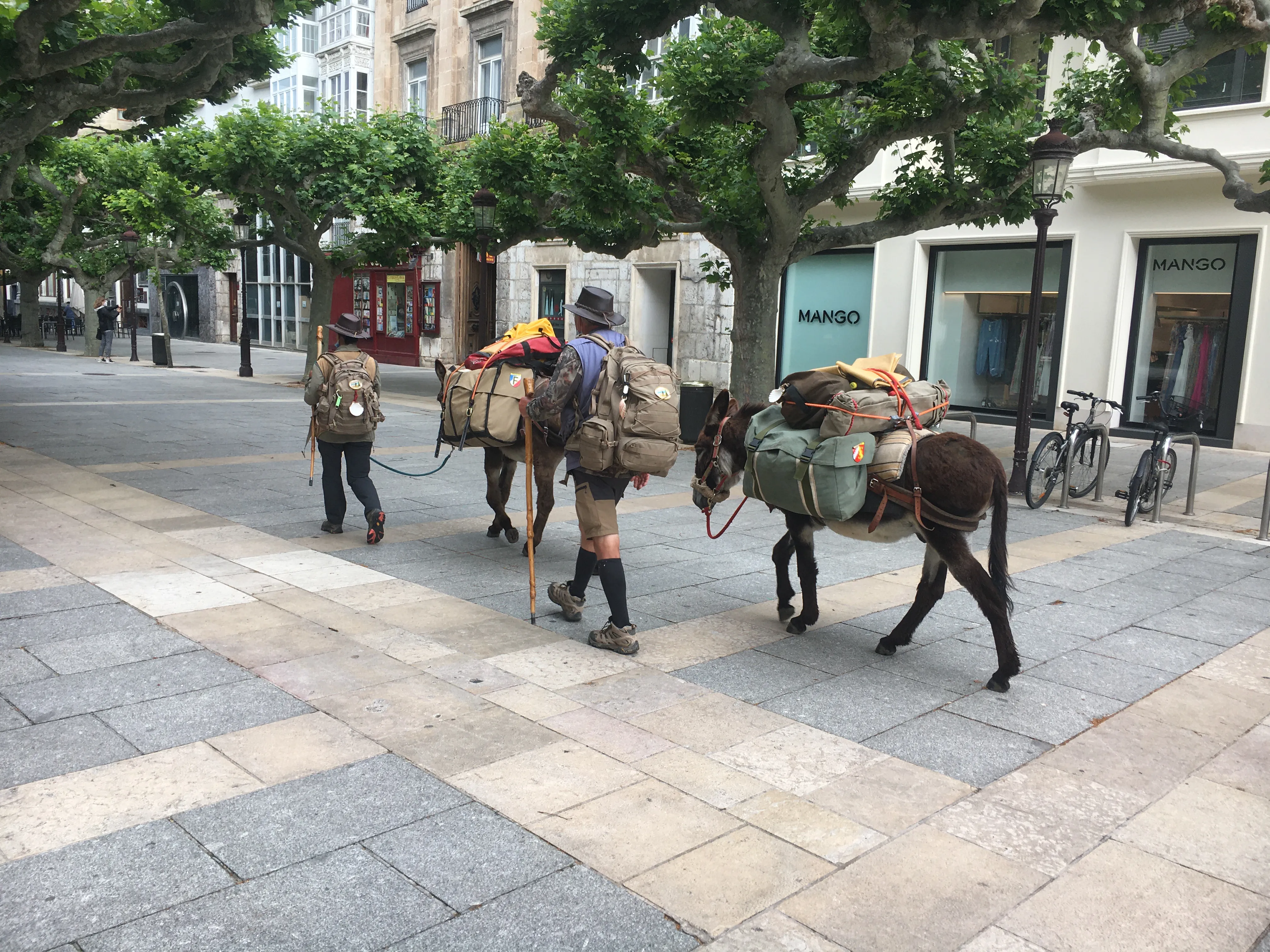 Cualquier medio es bueno para hacer el Camino de Santiago