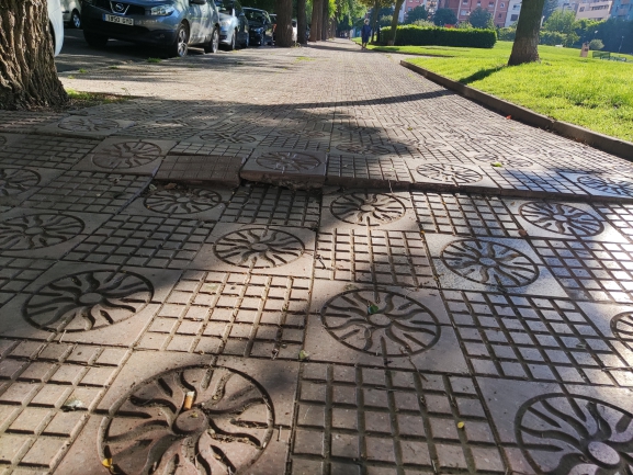 El PSOE denuncia el abandono de las aceras y parques de Burgos