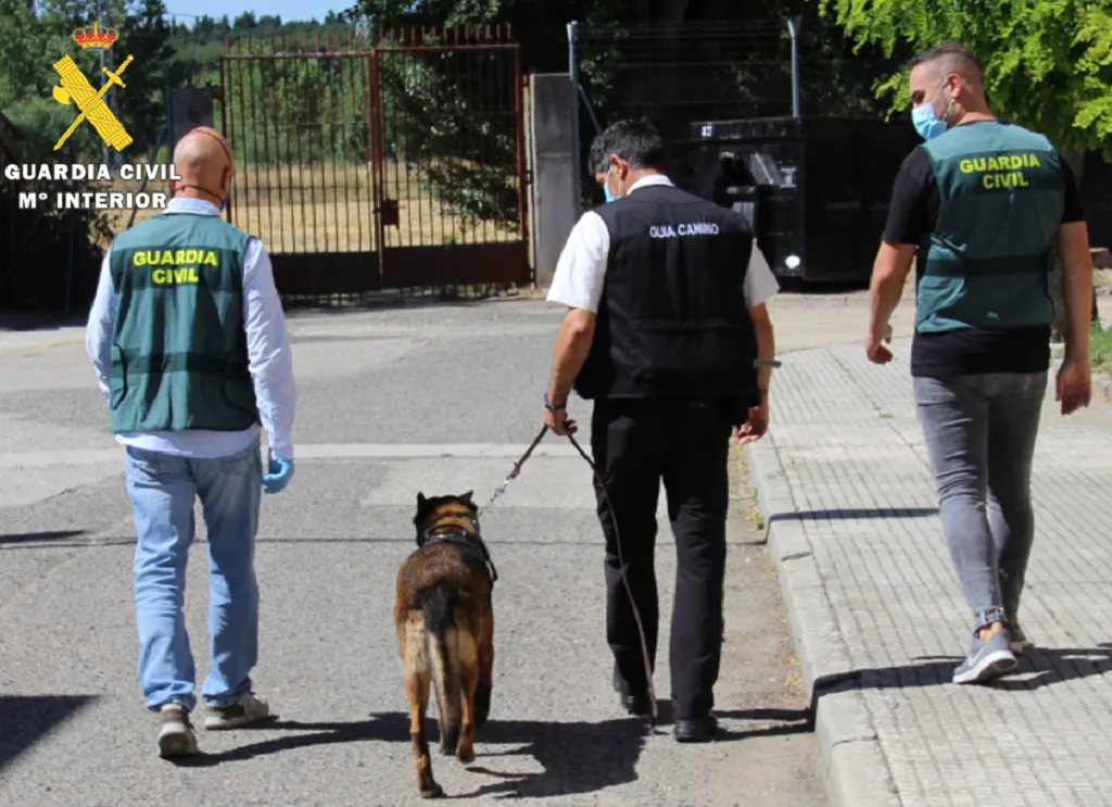Burgosnoticias.com - Información, noticias, actualidad, deportes y sucesos de Burgos