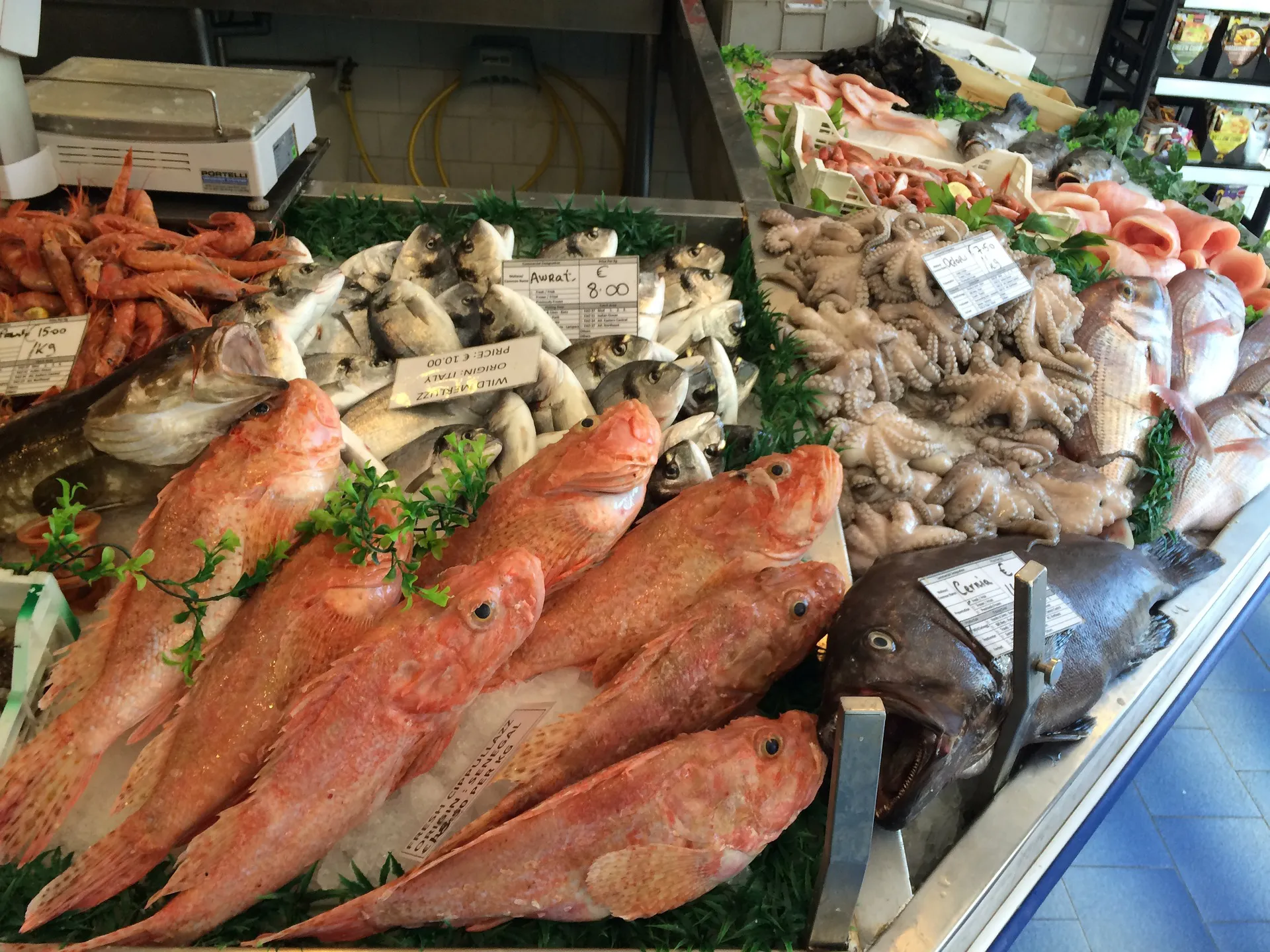 Los mejores pescados para el consumo que deben estar en tu lista de la compra