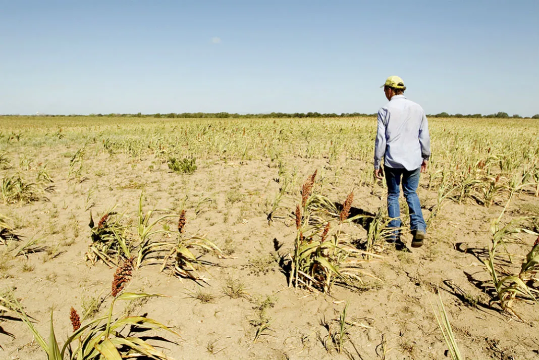 Trece millones de euros en ayudas destinadas a la bonificación de intereses en los préstamos de las explotaciones agrarias afectadas por la sequía