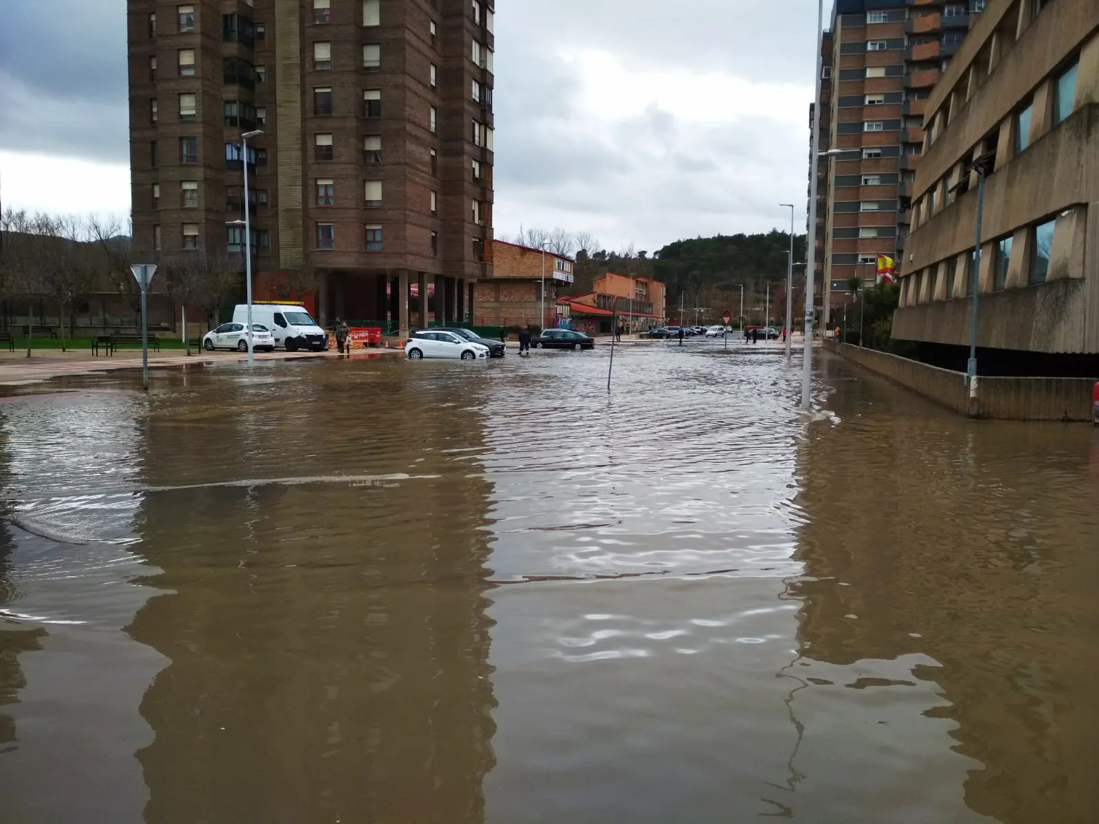 Foto 4 - Fotos y v&iacute;deo de la crecida del R&iacute;o Ebro a su paso por Miranda
