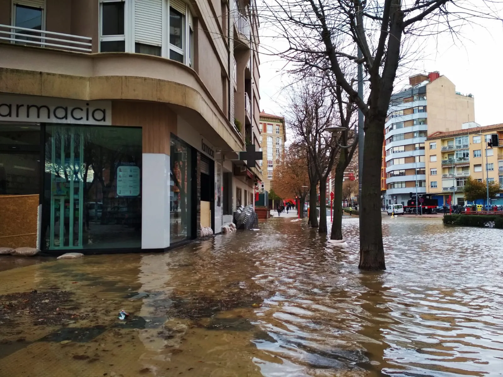 Foto 7 - Fotos y v&iacute;deo de la crecida del R&iacute;o Ebro a su paso por Miranda