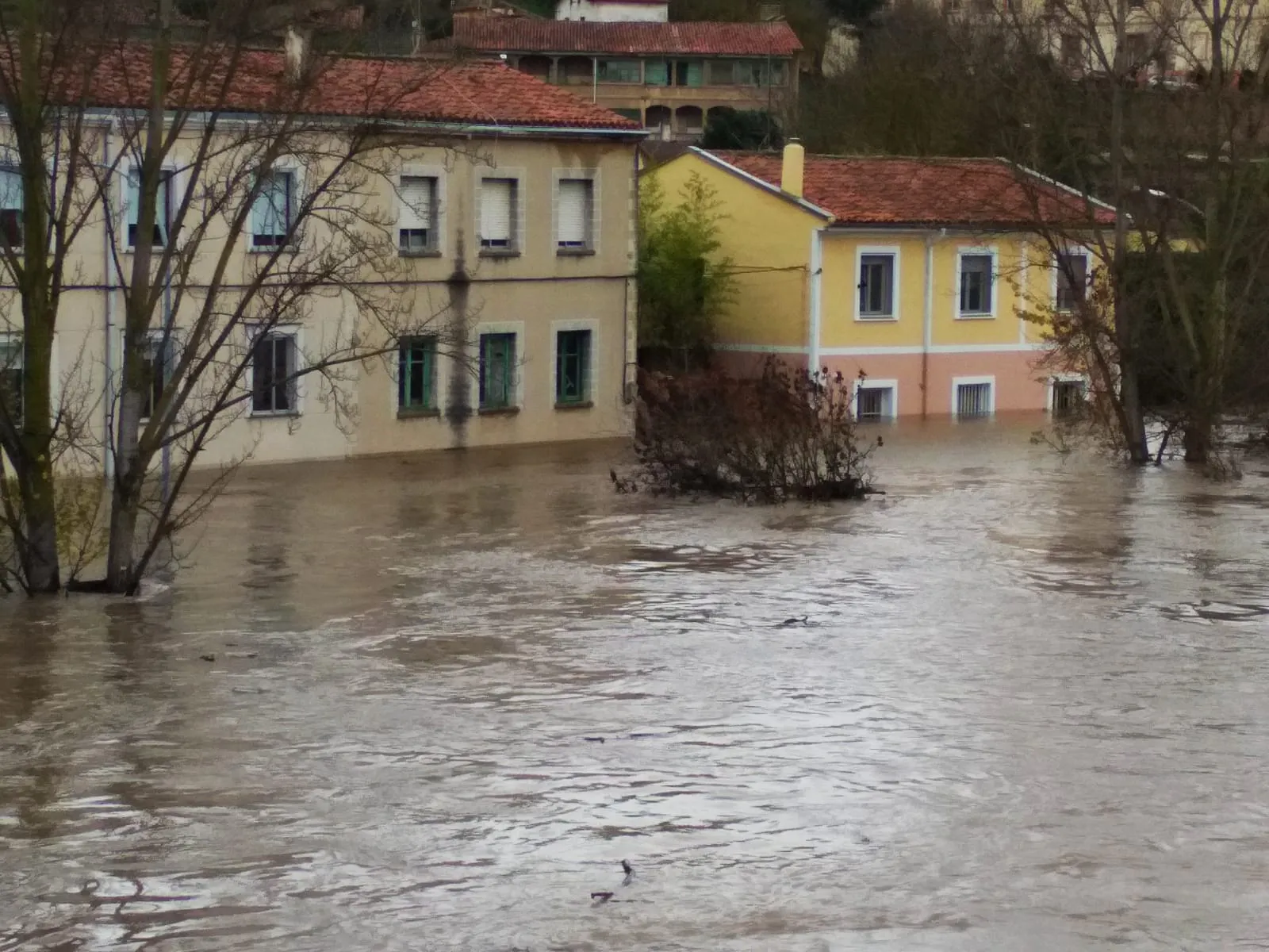Foto 8 - Fotos y v&iacute;deo de la crecida del R&iacute;o Ebro a su paso por Miranda