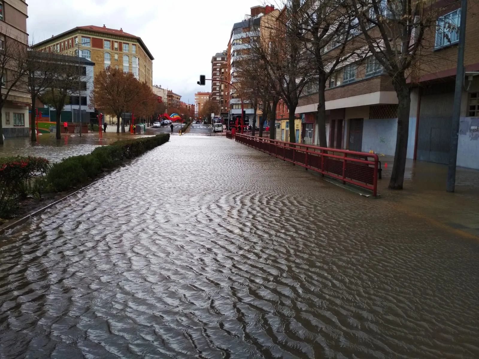 Foto 9 - Fotos y v&iacute;deo de la crecida del R&iacute;o Ebro a su paso por Miranda