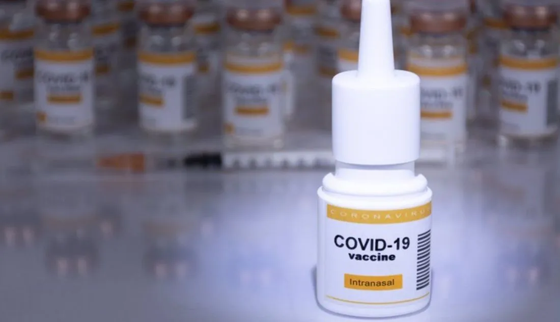 COVID-19 Burgos: La vacuna nasal puede ayudar a combatir las nuevas variantes de la COVID-19