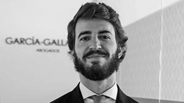 El burgalés Juan García-Gallardo será el candidato de Vox a la Junta de Castilla y León
