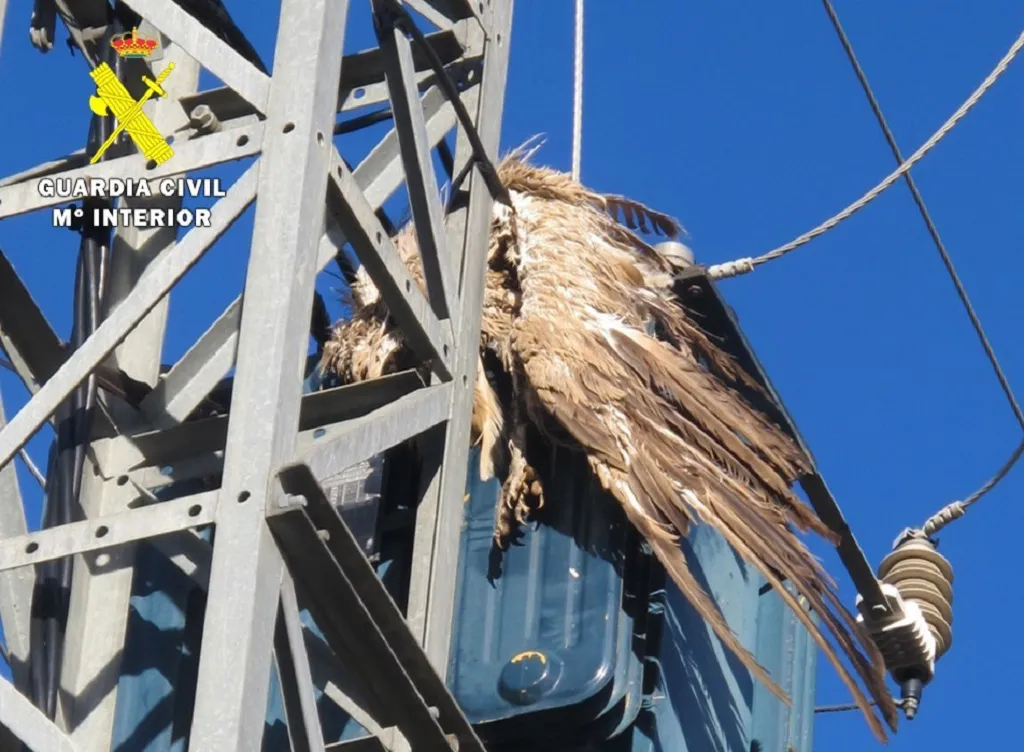 El SEPRONA practica 115 inspecciones a tendidos eléctricos durante el pasado año