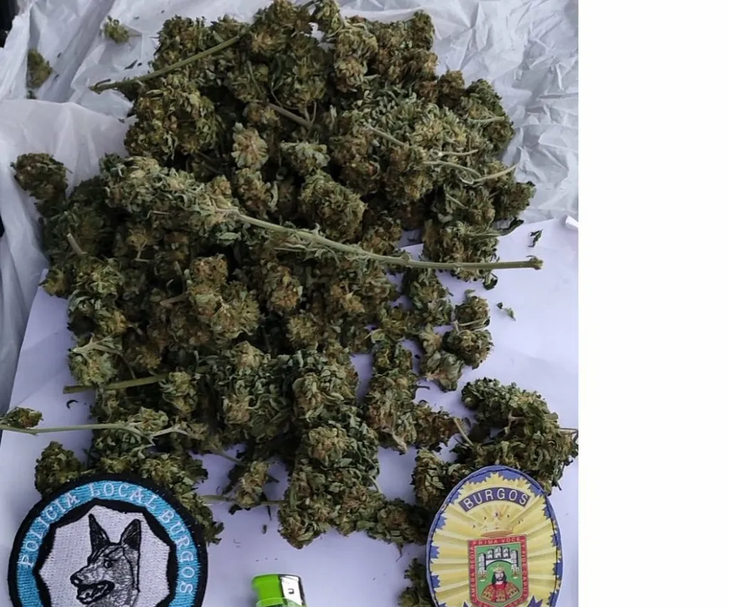 Detenido por tenencia y tráfico de drogas