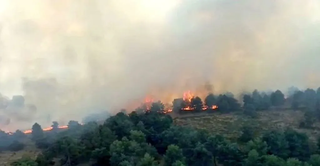 La Junta declara peligro medio de incendios forestales en toda la Comunidad hasta el 10 de febrero