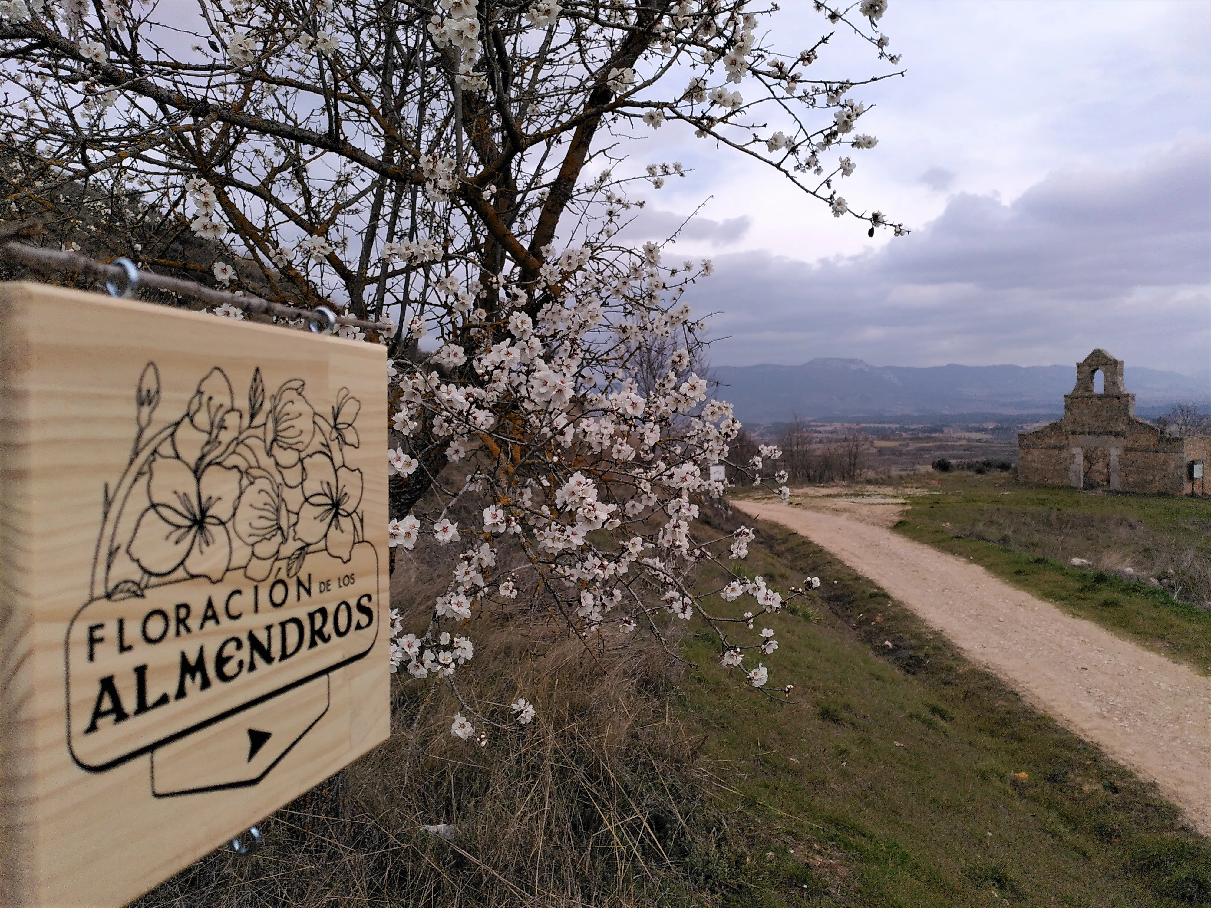Llega la floración a Poza de la Sal