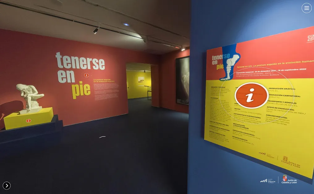 El MEH estrena una visita virtual de su exposición ‘Tenerse en pie. La postura erguida de la evolución humana’