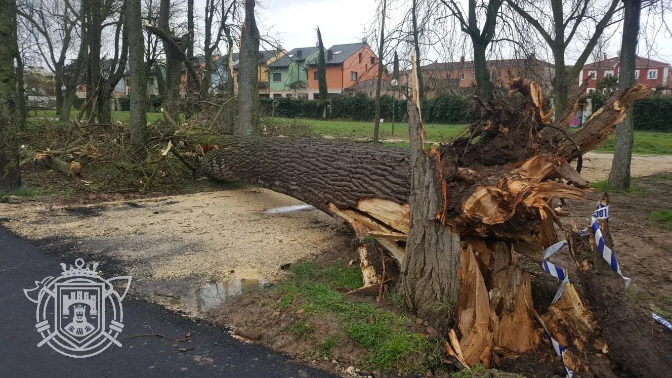 Aviso amarillo en Burgos por fuertes rachas de viento