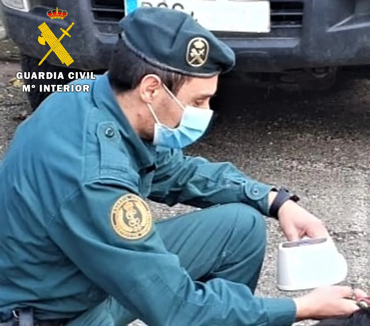 Investigado el propietario de un cerdo vietnamita por su introducción deliberada en el medio natural