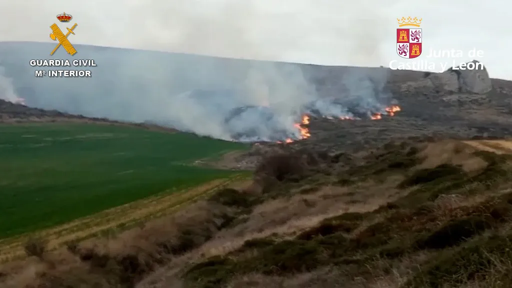 Localizado y detenido el autor de un incendio forestal provocado
