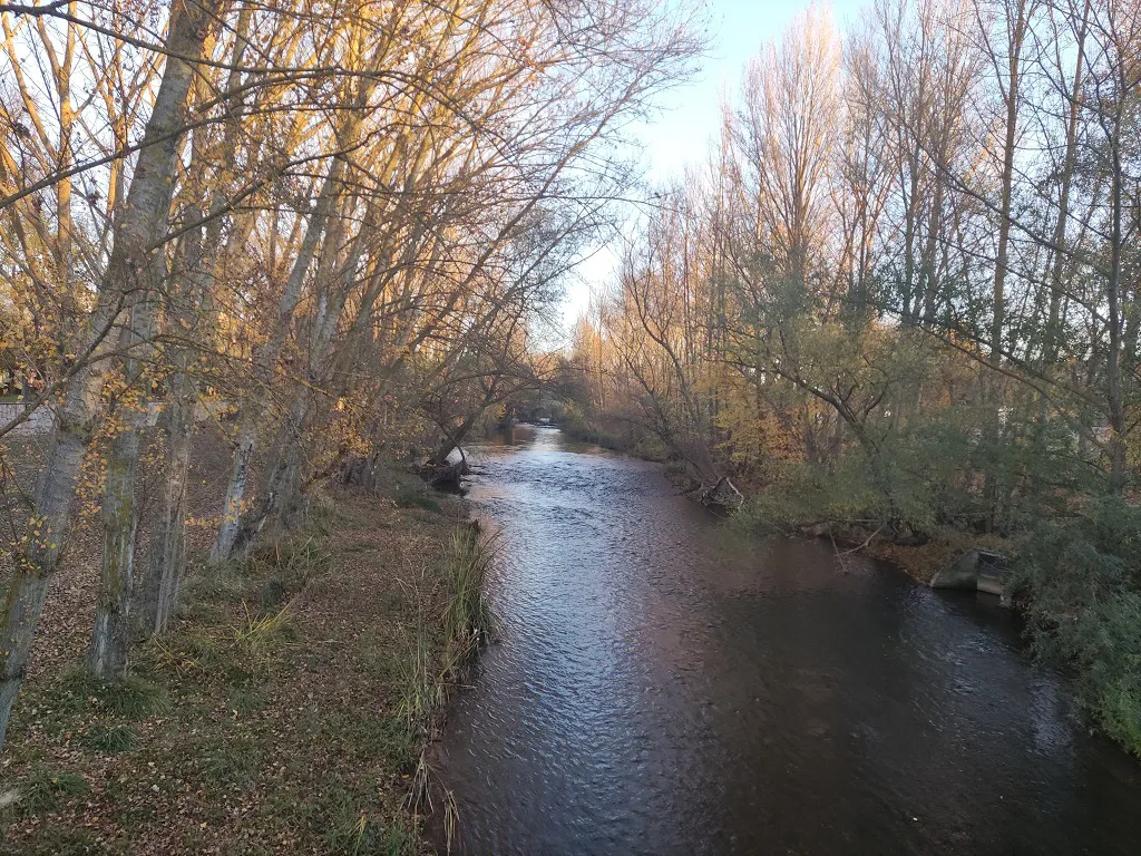 ¡Manos al agua! Más de 500 participantes monitorean los ríos de Burgos