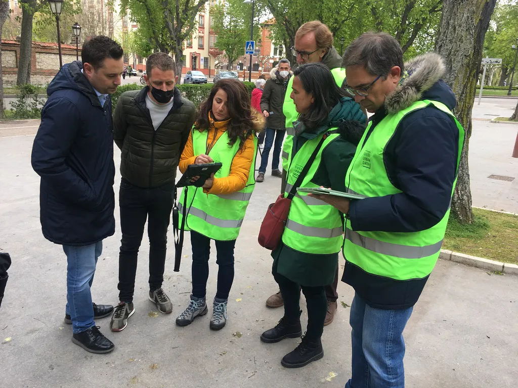 El Ayuntamiento estudia la salud del arbolado del casco urbano
