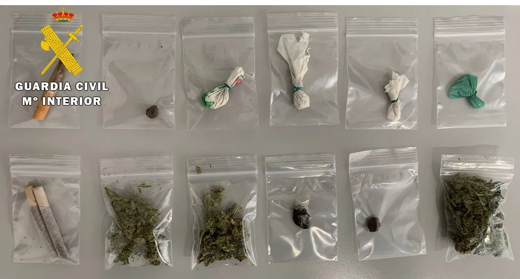 La Guardia Civil realiza 12 aprehensiones de droga en zonas de ocio de la comarca del Arlanza