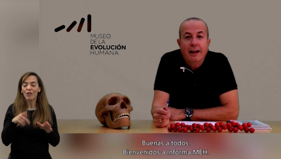 El MEH lanza un proyecto divulgativo para dar a conocer al público las últimas noticias relacionadas con el mundo de la prehistoria y la paleontología
