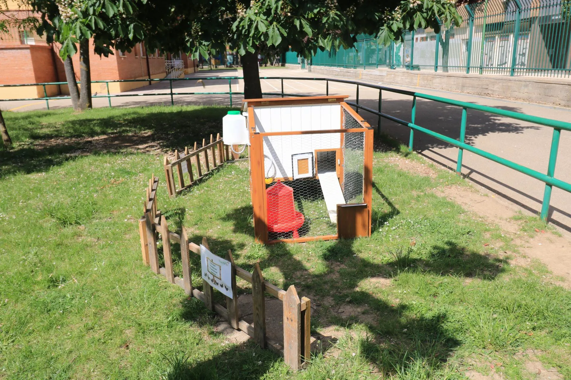 El Proyecto Pio Pio – Gallina Castellana se desarrollará en centros escolares de la ciudad de Burgos