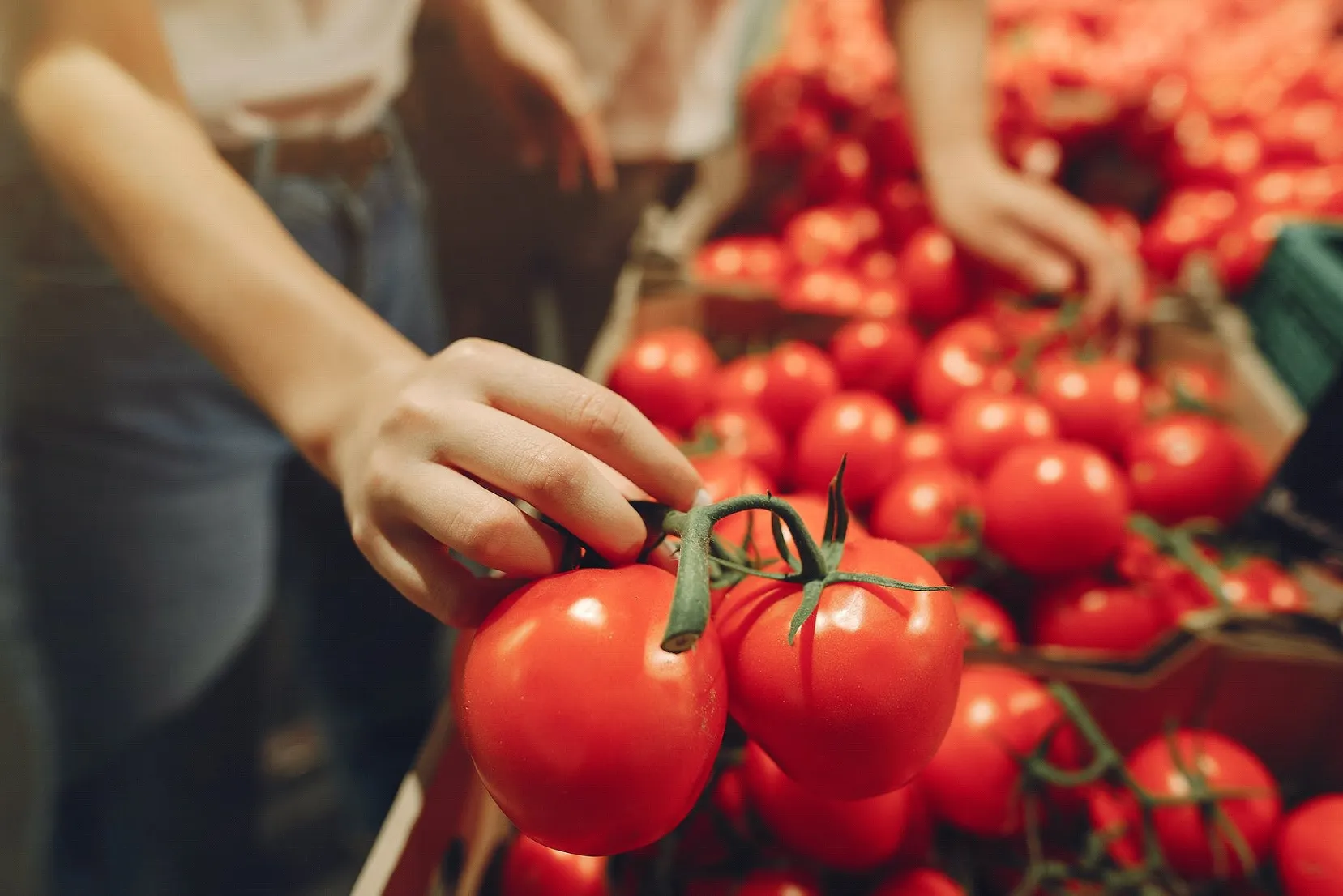 Burgos por el Comercio Justo’ organiza una comida de Comercio Justo y productos locales