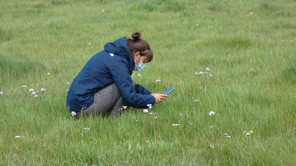Burgos se suma al evento internacional La Gran Semana: Ciencia Ciudadana por la Biodiversidad