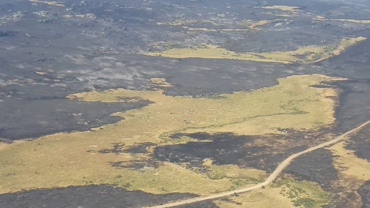 Subvenciones a entidades locales para combatir los incendios