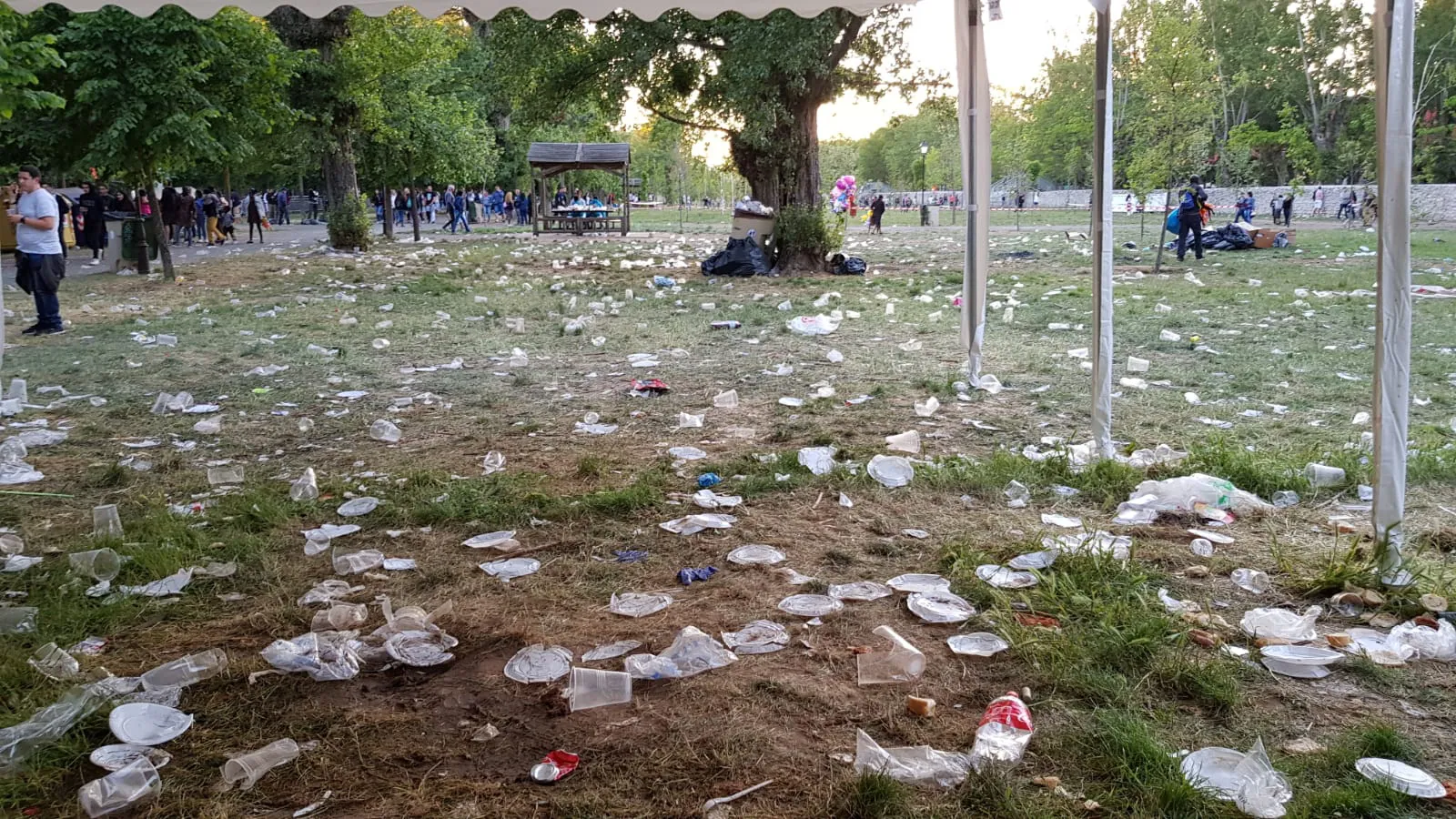 El Ayuntamiento elabora un protocolo estricto de limpieza para la festividad del Curpillos en el Parral