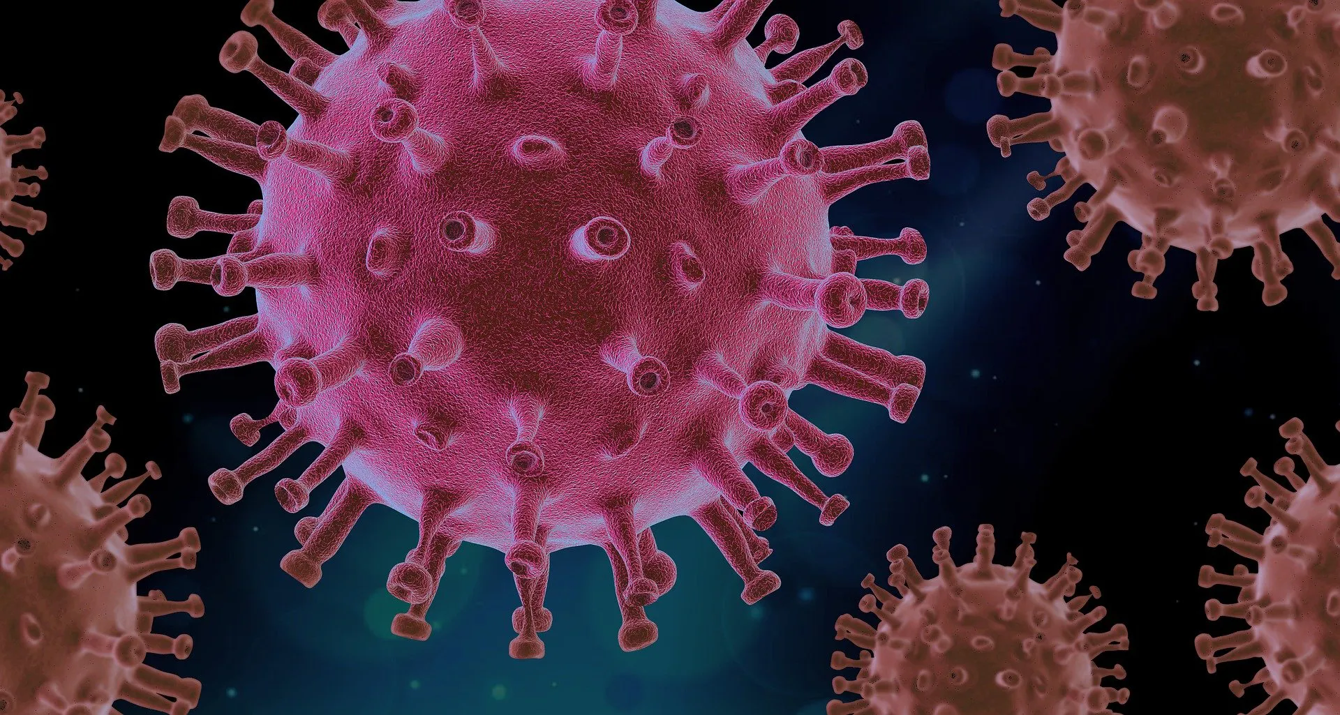 Un nuevo test mide la inmunidad celular frente a la infección por SARS-CoV-2 y sus vacunas
