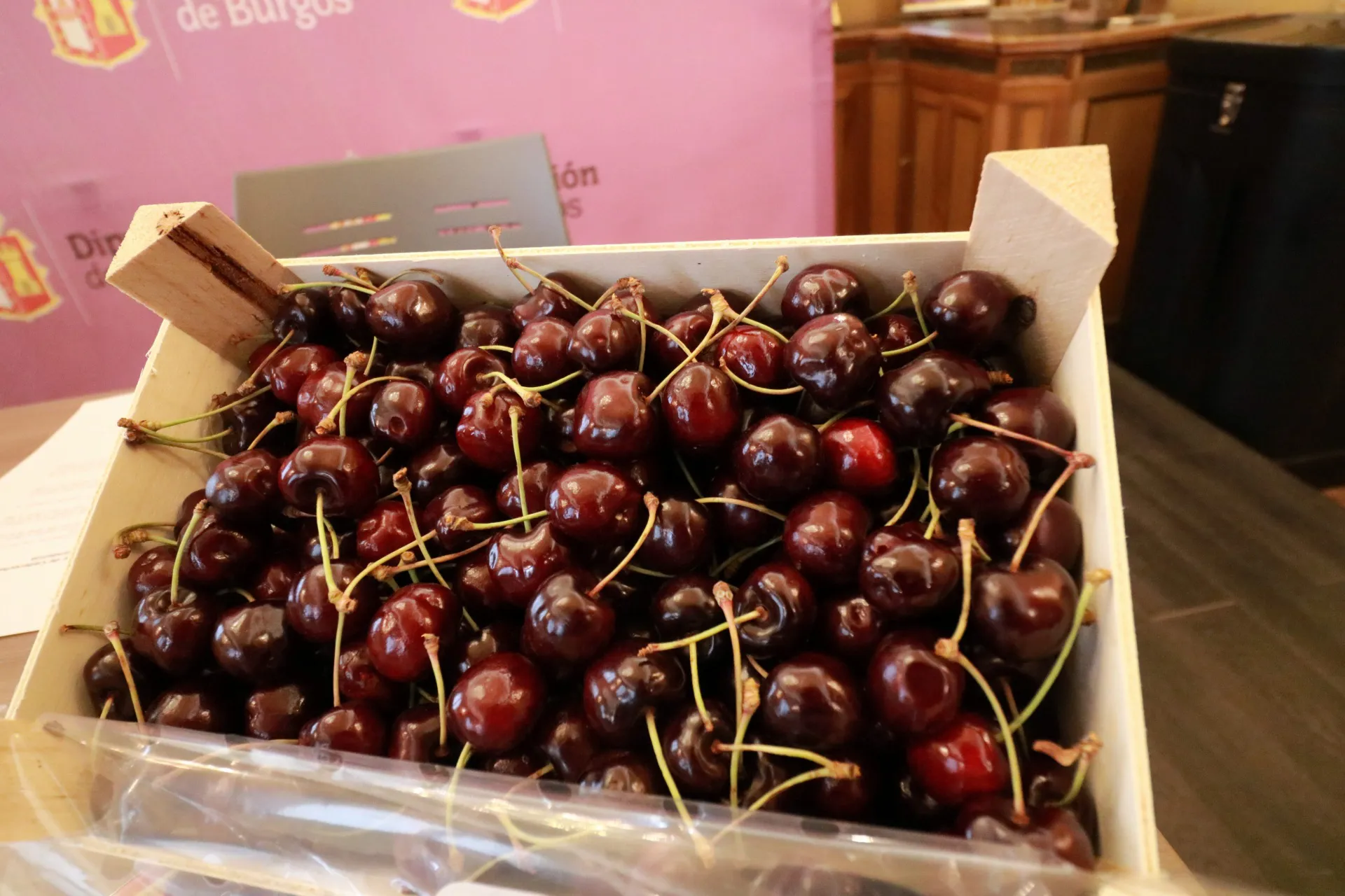 La cosecha de cereza del Valle de las Caderechas será de las mejores que se recuerdan