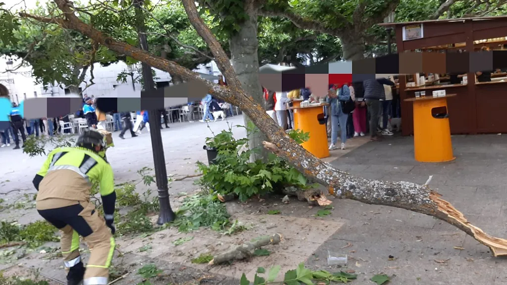Cuatro personas resultan heridas al caer una rama de un árbol en el Paseo de El Espolón