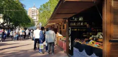 La 37 Feria del Mimbre reunirá a 18 artesanos y volverá a llenar de actividad la Plaza de San Agustín del 4 al 7 de junio