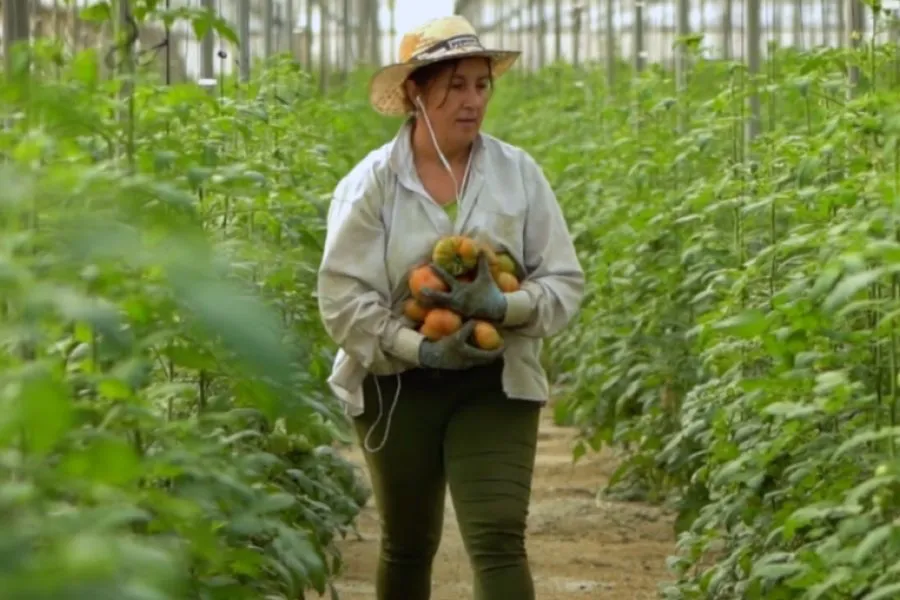 Castilla y León publica las bases para el Programa de apoyo a mujeres en los ámbitos rural y urbano